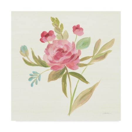 Silvia Vassileva 'Petals And Blossoms V' Canvas Art,14x14